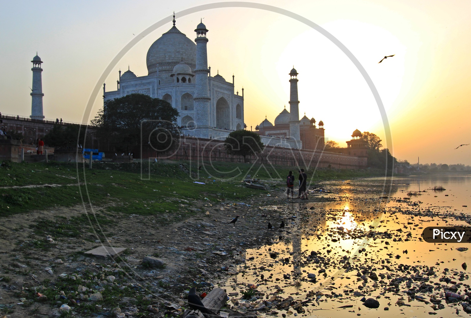 Beauty and the Beast - Taj Mahal/7 Wonders