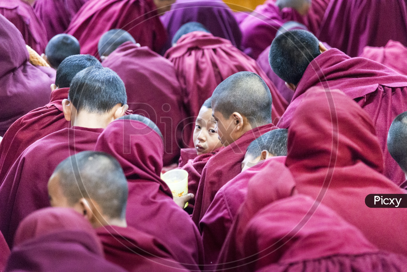Child Buddhist Monks in Dharmasala, Himachal Pradesh