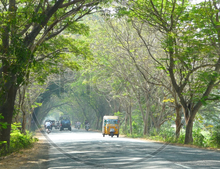 Road to Dindi Resorts