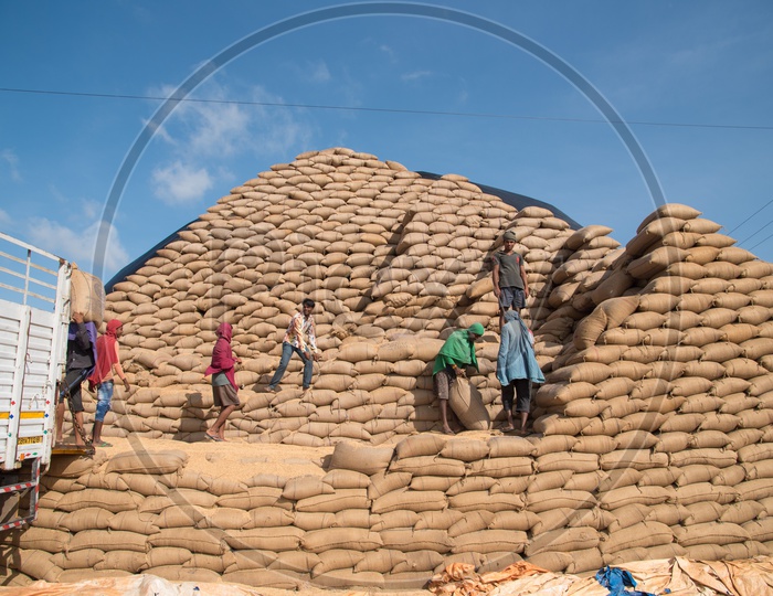 Workers in a Rice Mill in Telangana