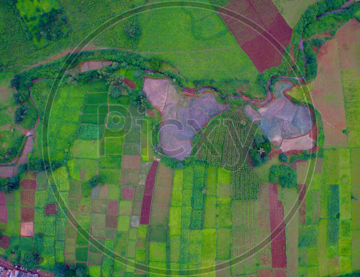 An aerial view of farm lands in Odisha