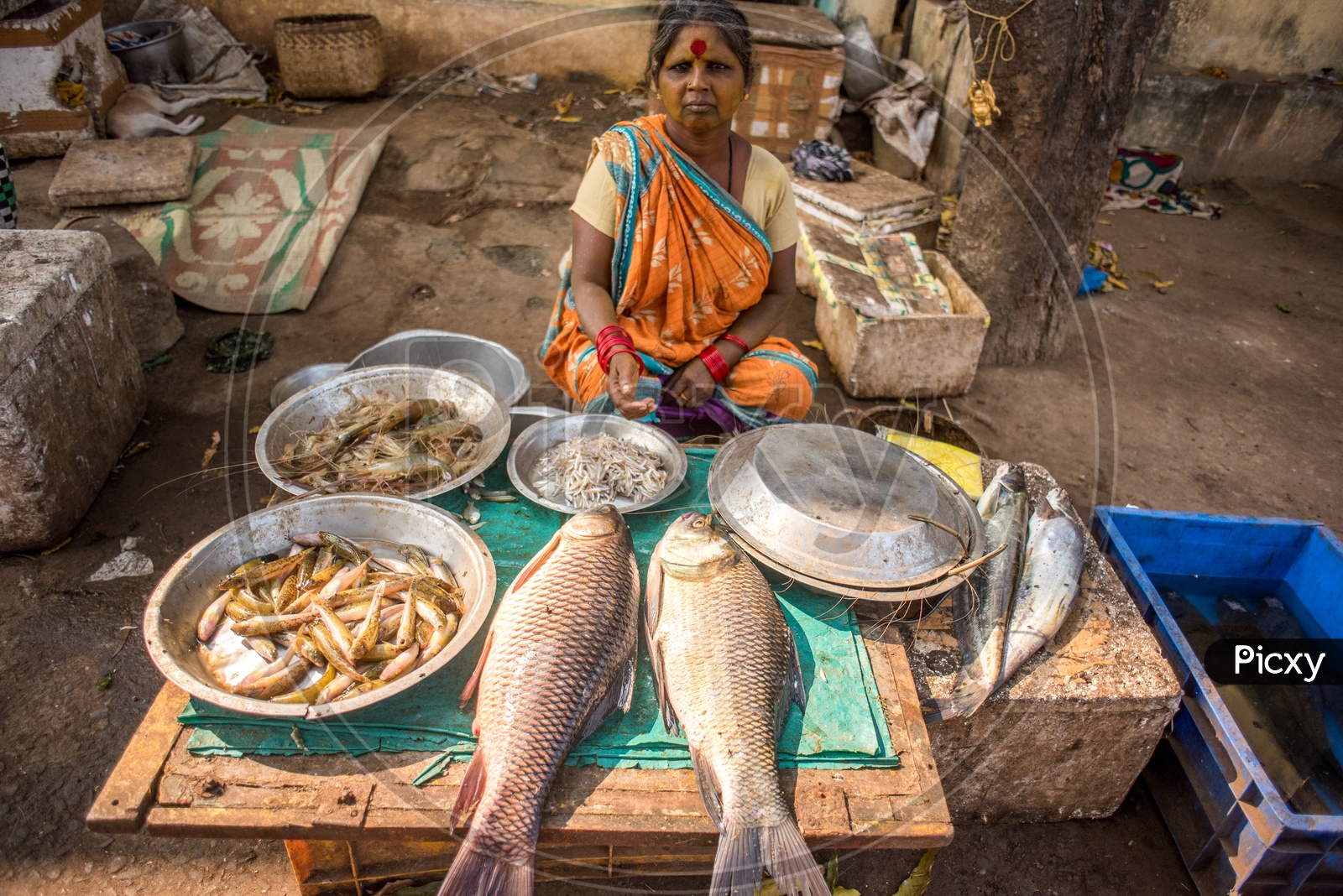 fish market in dowleswaram
