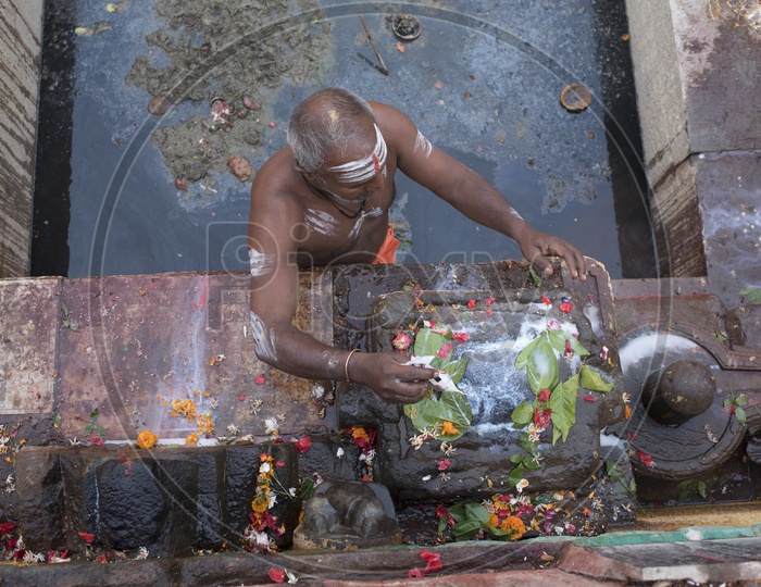 Hindu Priest Pouring milk on Lord Shiva