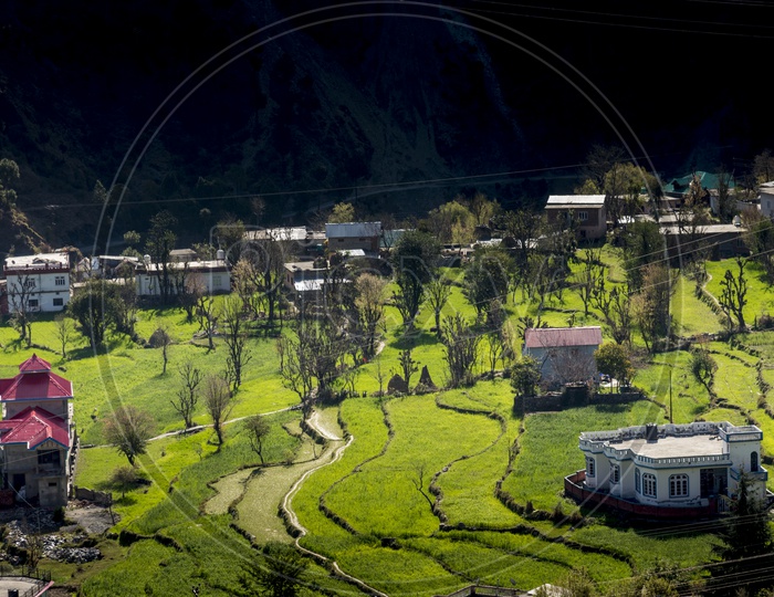 Houses surrounded by greenery in Chamba, Himachal Pradesh