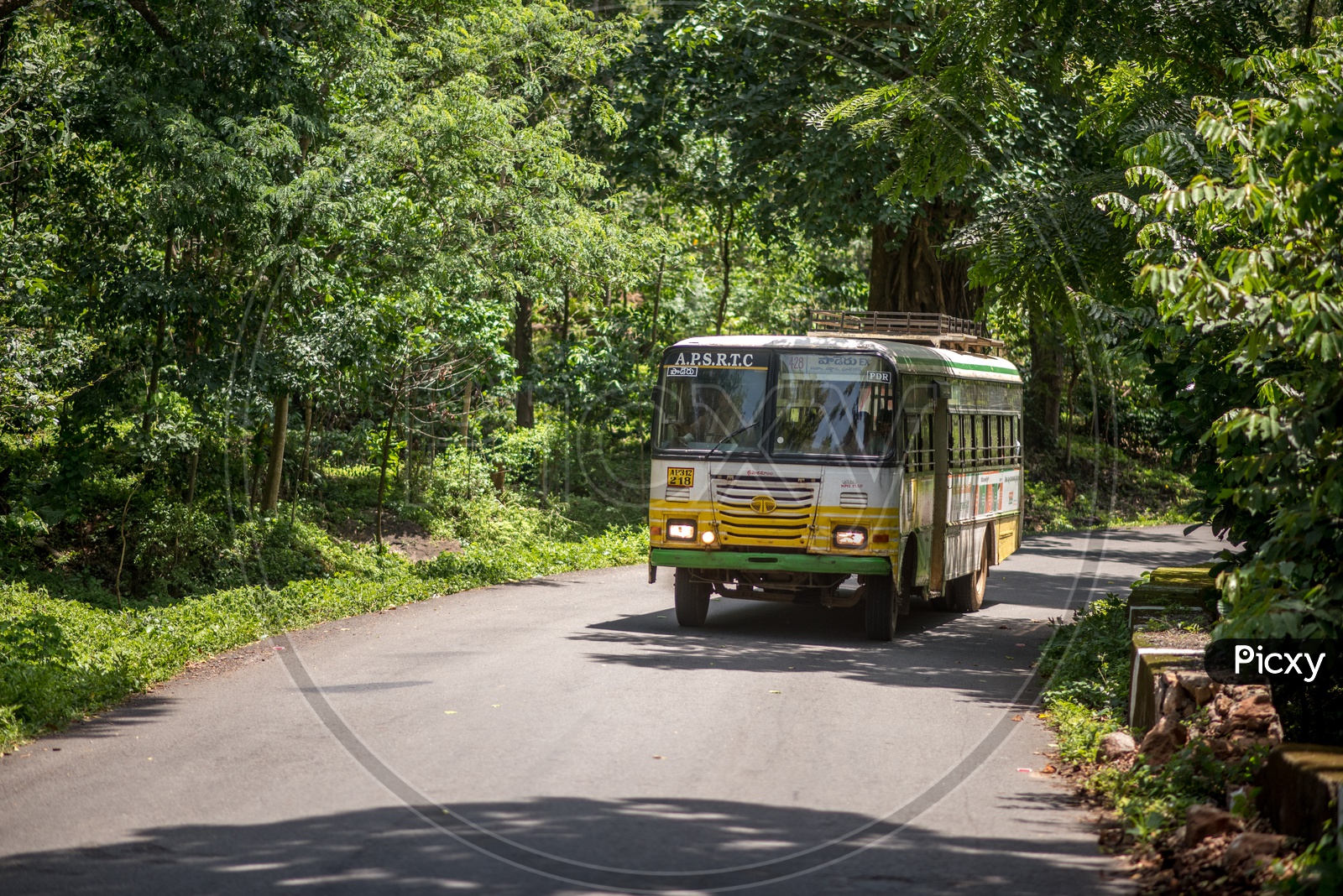 APSRTC buses in paderu ghat
