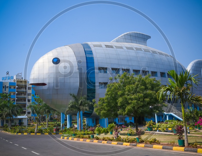 National Fisheries Development Board, Hyderabad