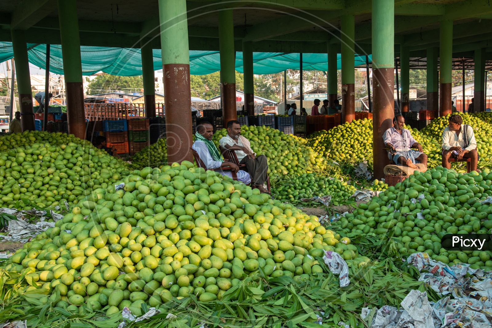 Mango Vendors at Wholesale Fruit Market