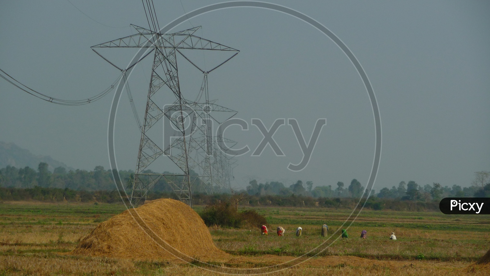 High Tension Transmission Lines in Agriculture Field