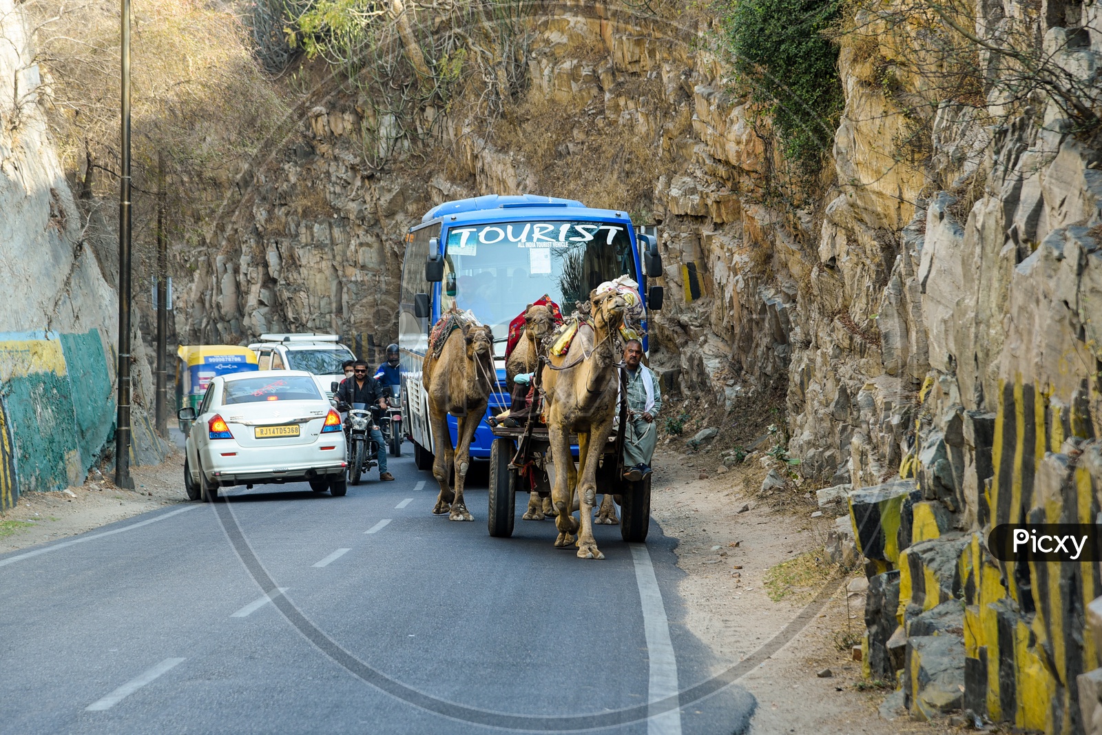 Camel Caravan near Amer Fort, Jaipur
