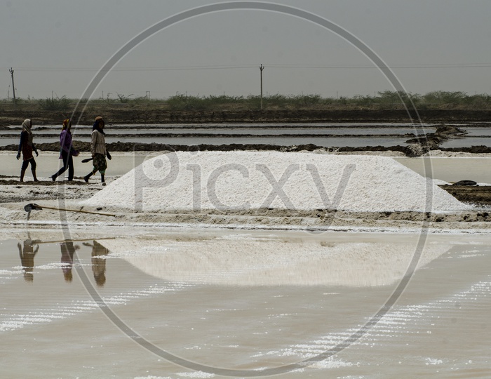 Salt fields at Bhavnagar, Gujarat