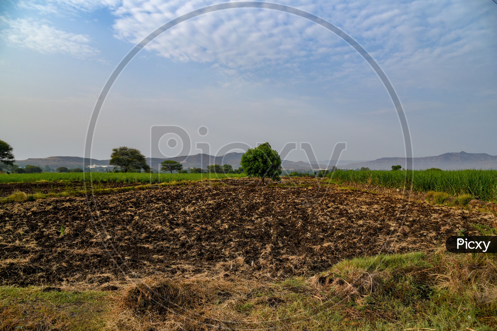 Farm Fields ploughed and awaiting the monsoons in a village in Maharastra