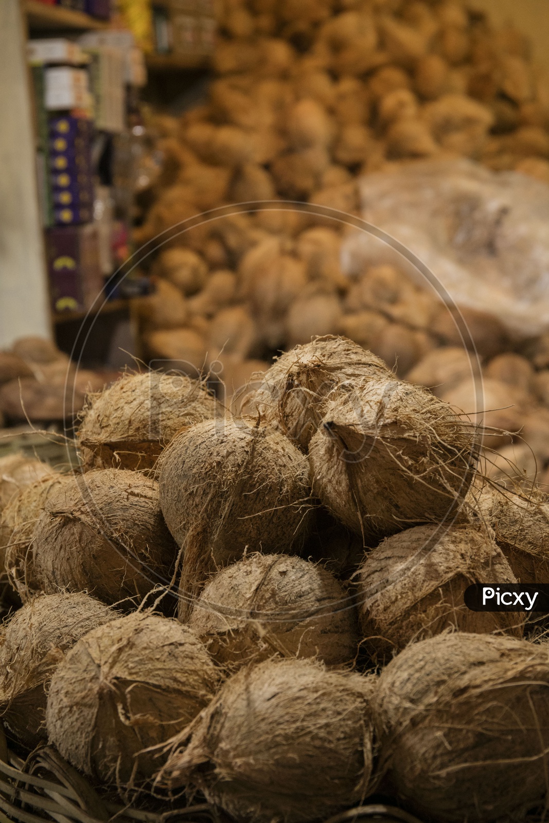 nuts of coconuts,jayanagar market