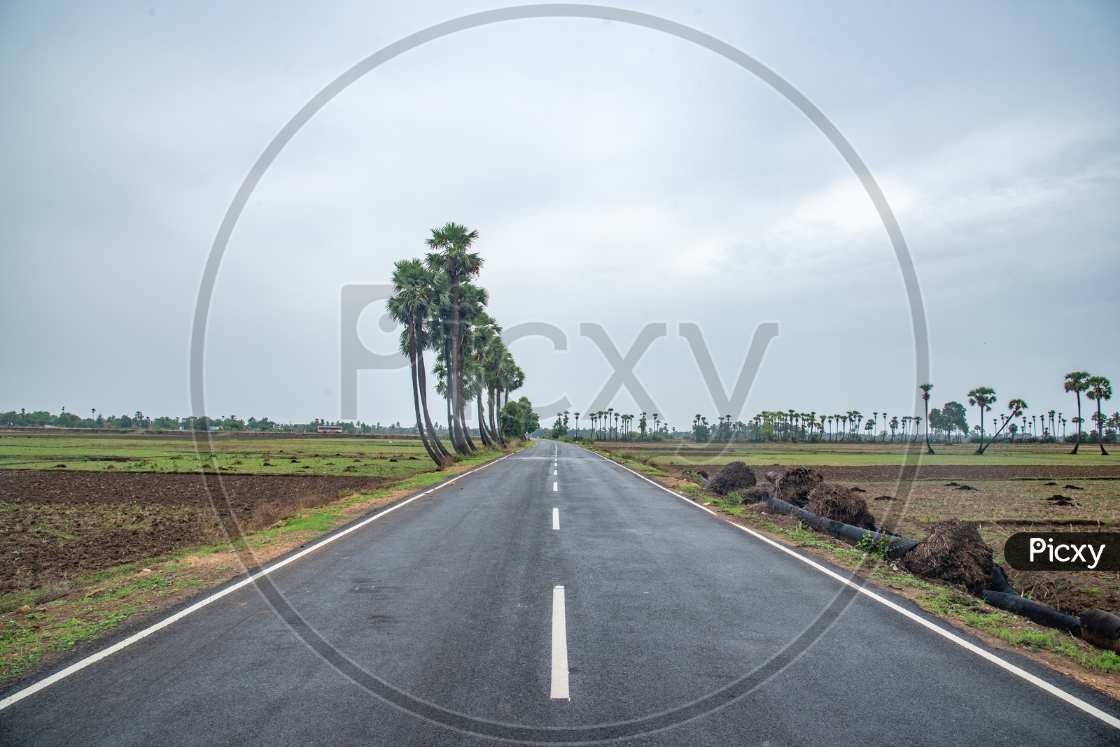 Image of Andhra Pradesh State Highways-EY043151-Picxy
