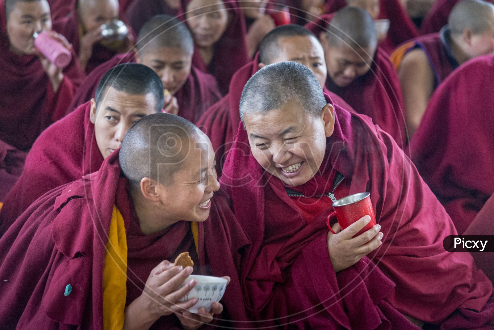 Smiling Buddhist Monks in Dharmasala, Himachal Pradesh