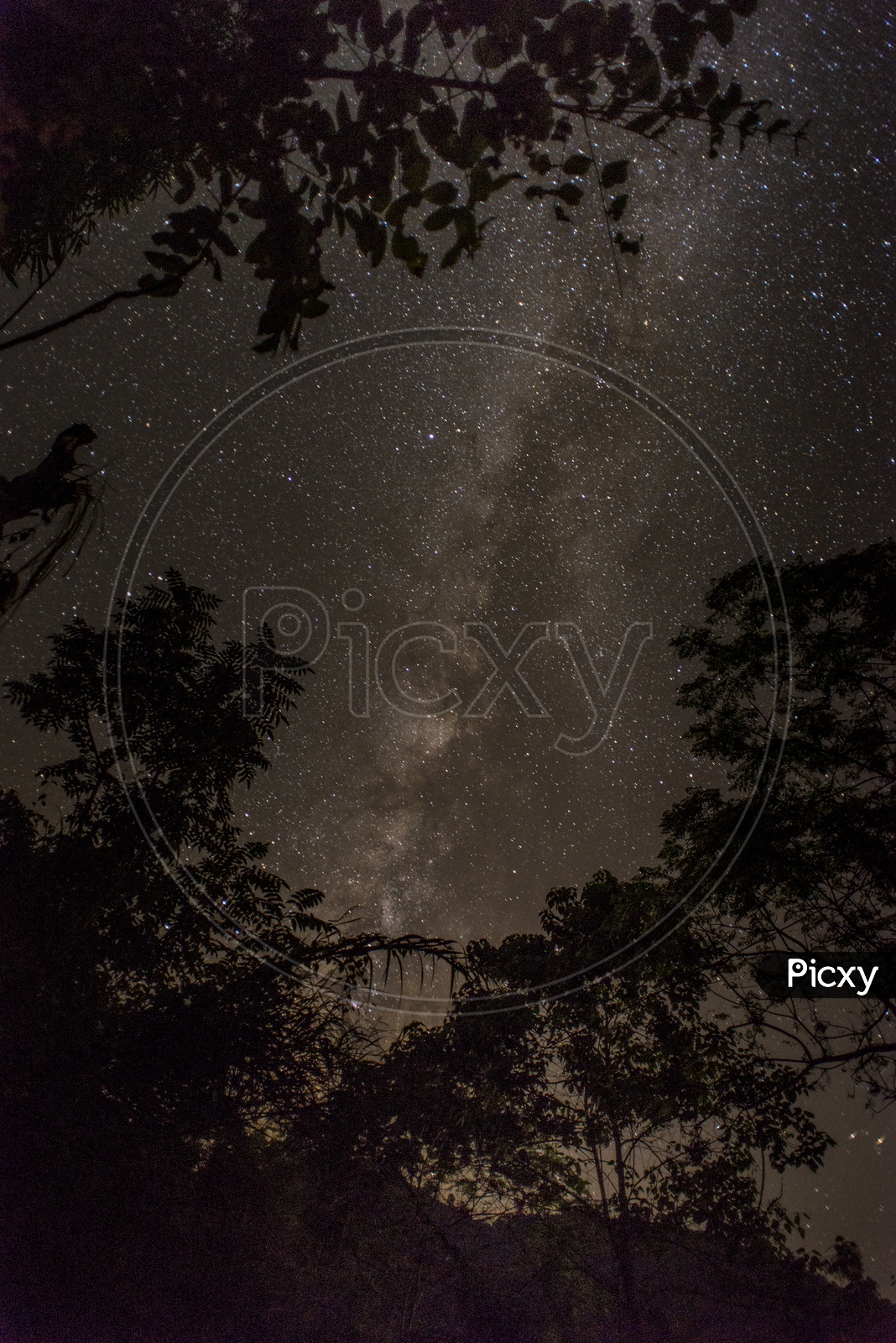 Star Gazing in Daporijo, Arunachal Pradesh