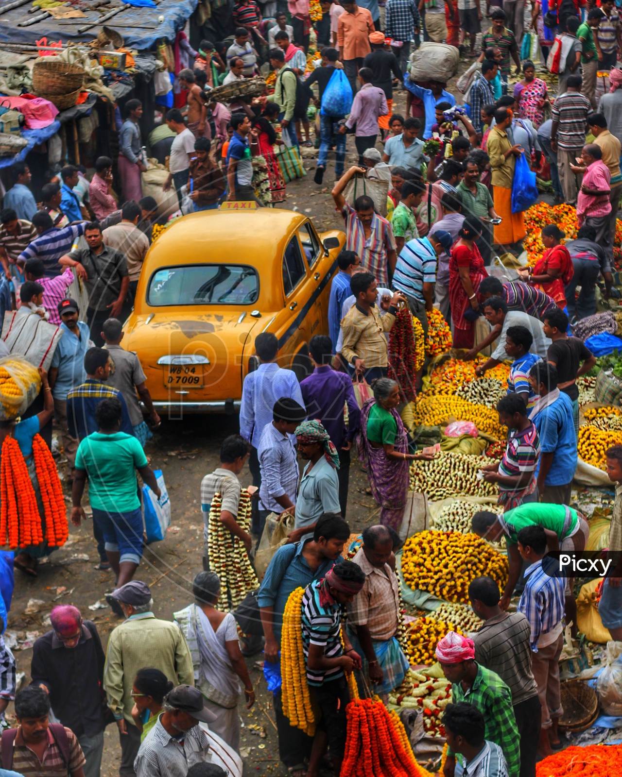 Flower market of Kolkata