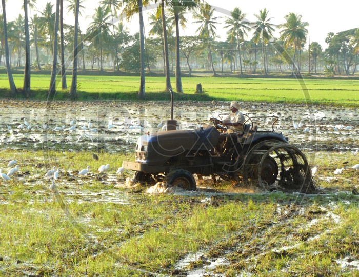 Plough Tractor in Agriculture Fields