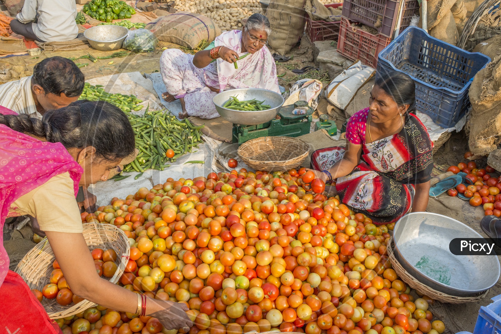 Female Vendors at Gudimalkapur Flower Market