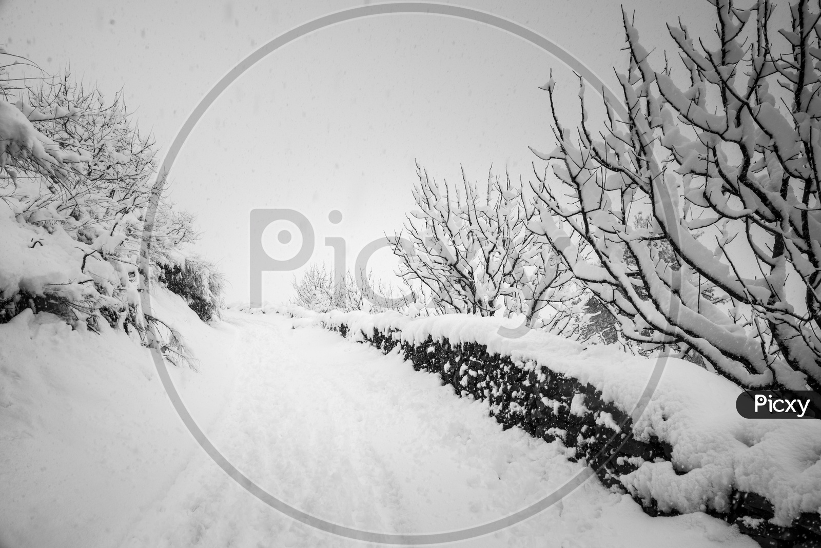 Snow Covered the road at Jana Village near Manali