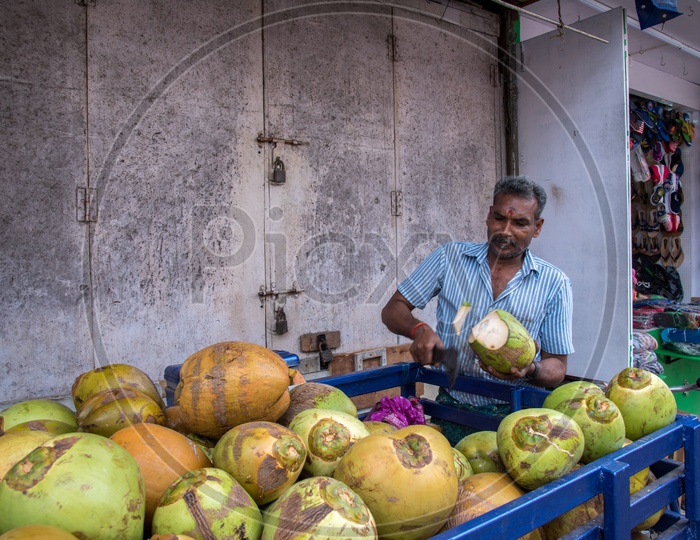 A coconut vendor,Chennai