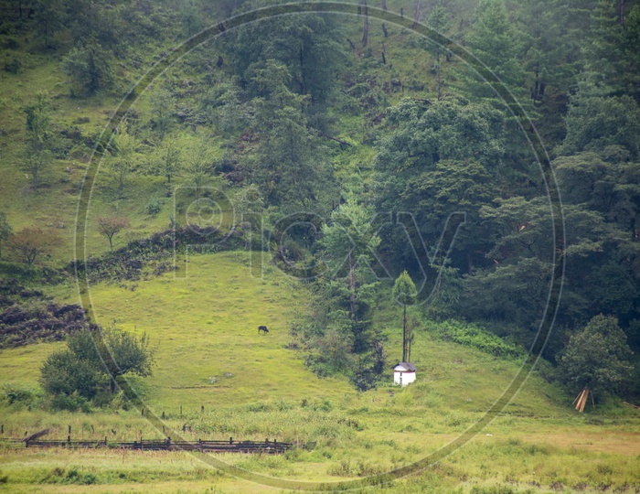 Landscapes of Arunachal Pradesh