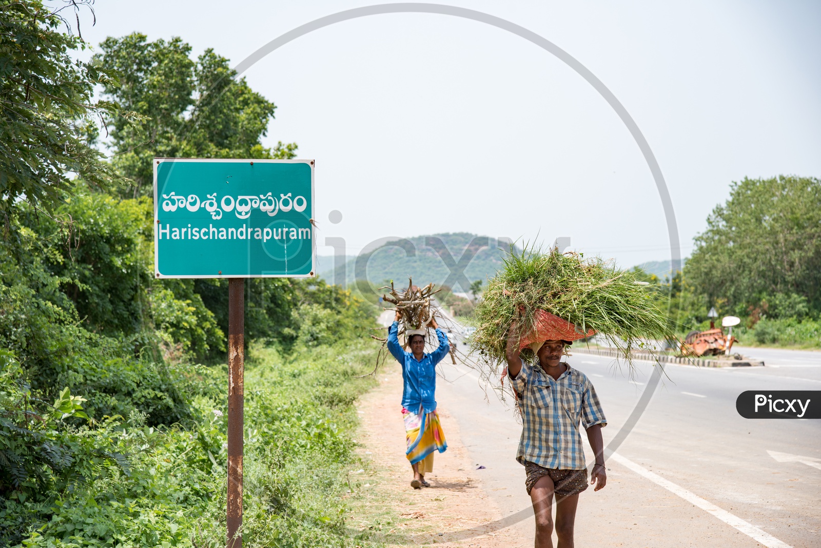 People Carrying Twigs or Dry Wood for using in their Daily needs on NH 16.