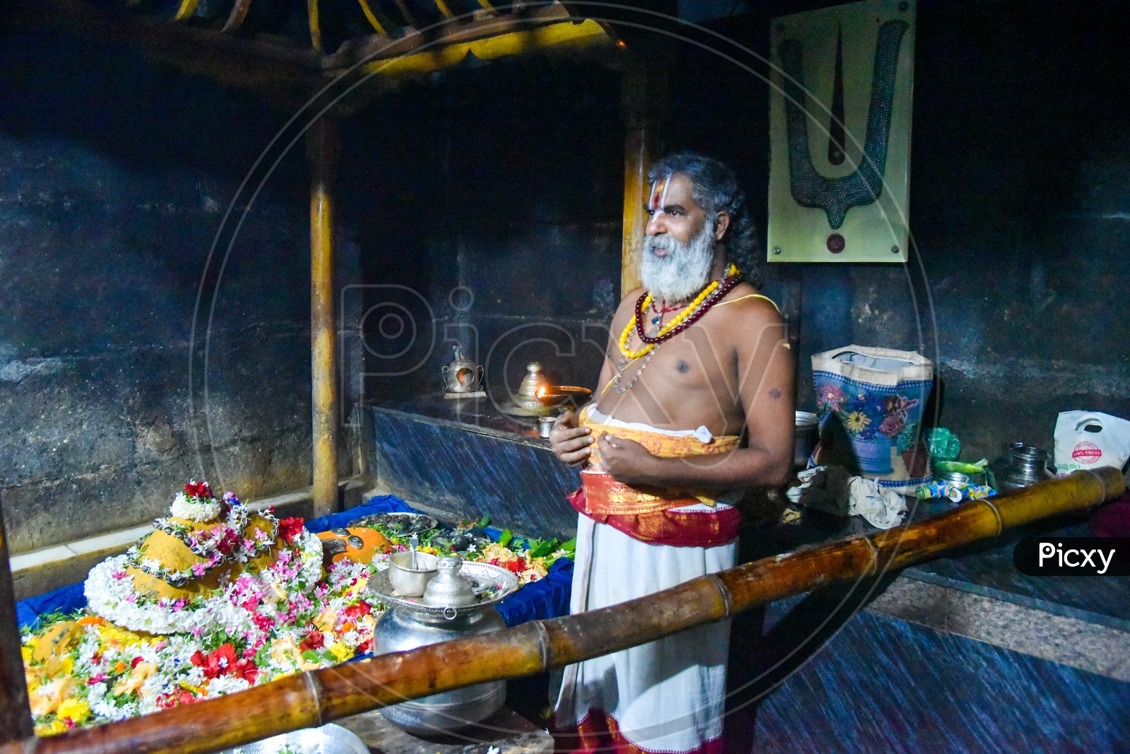 Priest and Idol of Diety at Sri Kurmam Temple