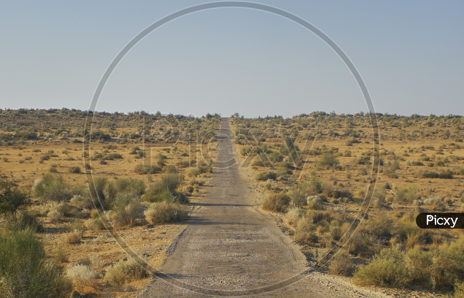 Deserted Roads in the Desert