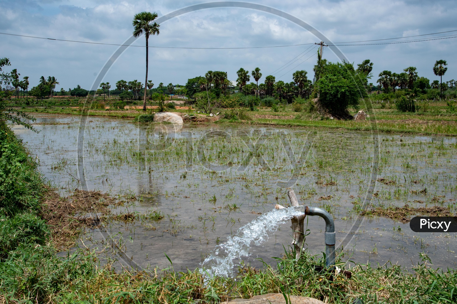 Water pumped into fields in a village  Mukhtapur