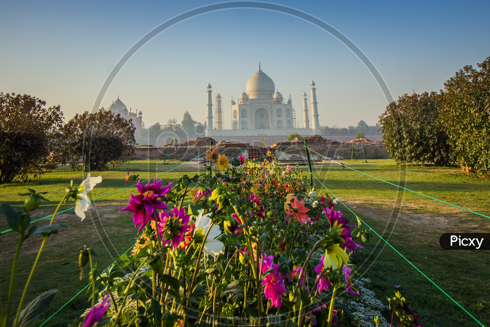 Blossom View of Taj