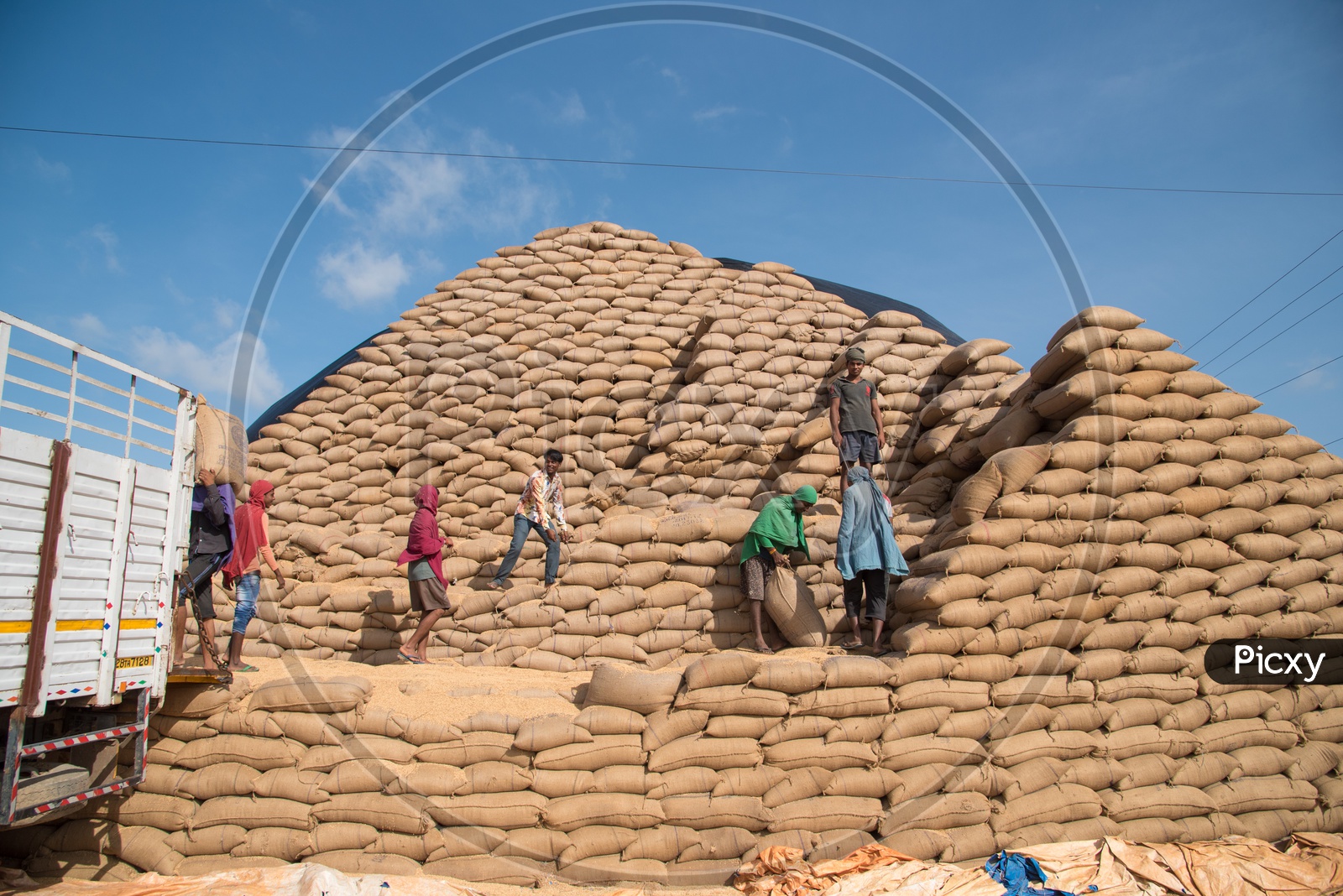 Workers in a Rice Mill in Telangana