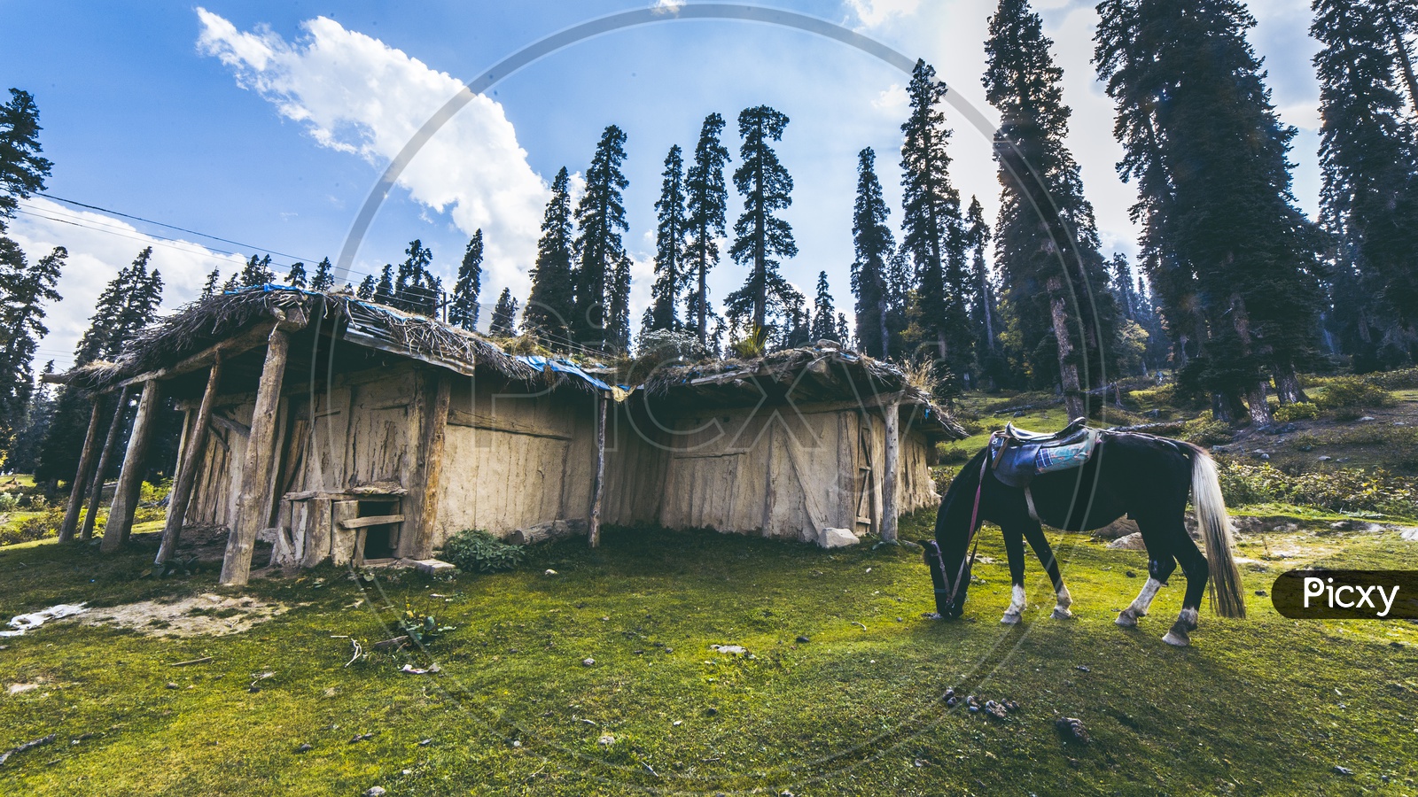 The picturesque landscapes of Gulmarg