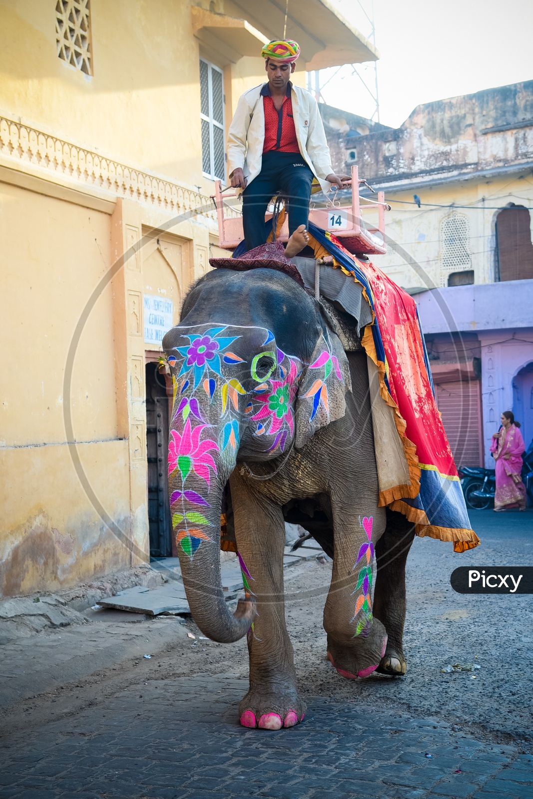 Decorated Elephant at Amber Fort