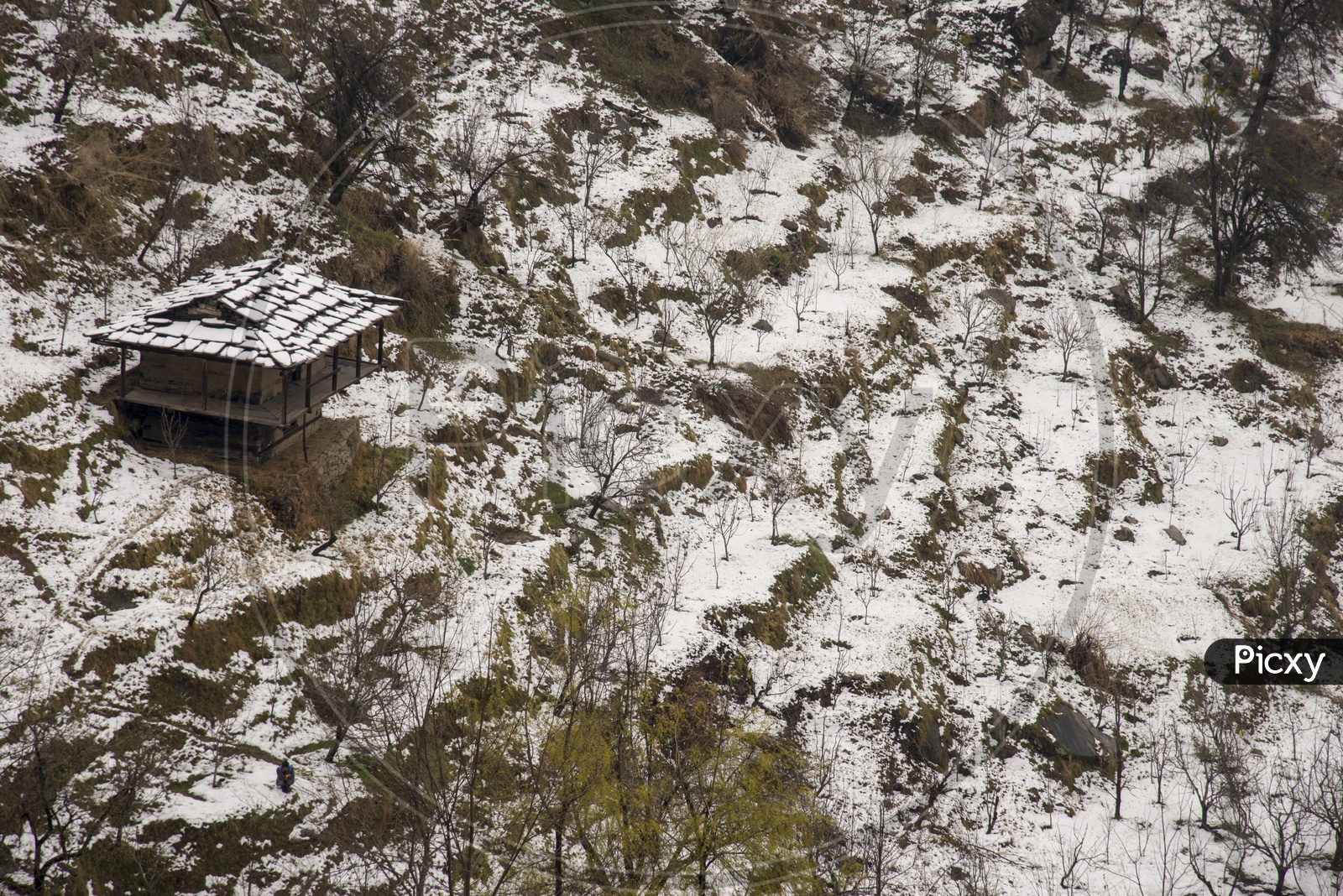 Snow Covered House in Manali