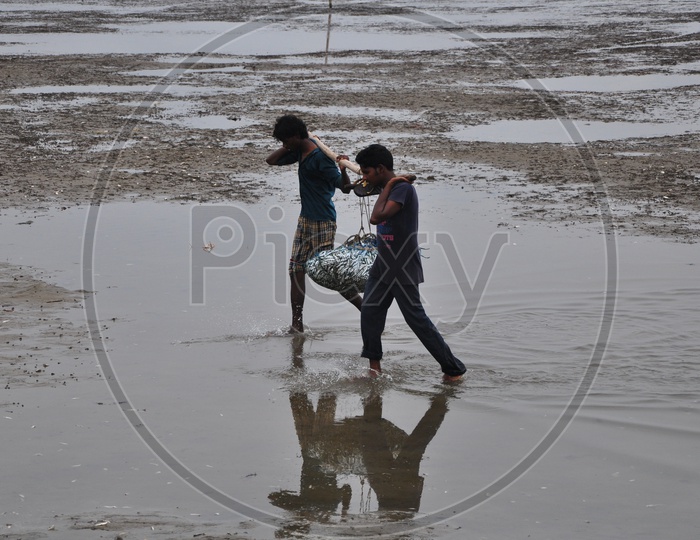 Fishermen taking fishes to Cold Storage