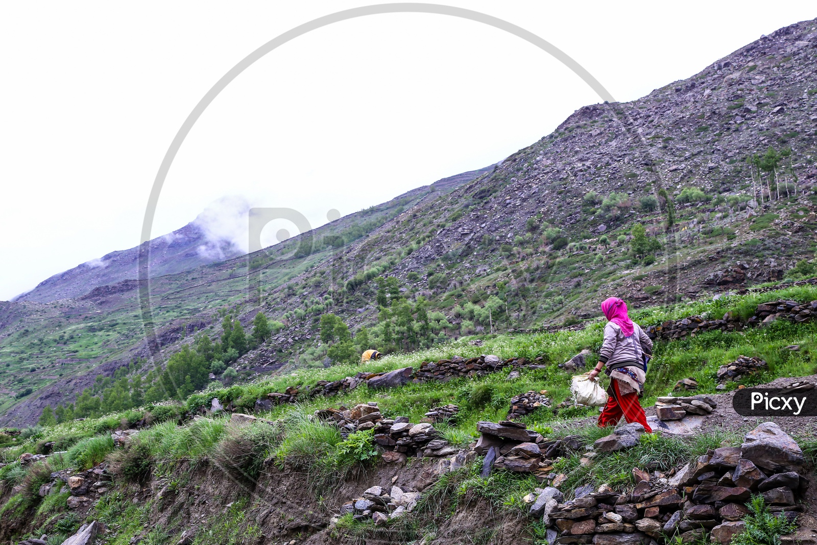Woman On the hills on the way to Rohtang Pass