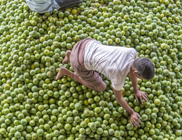 Kothapet Fruit Market, Hyderabad