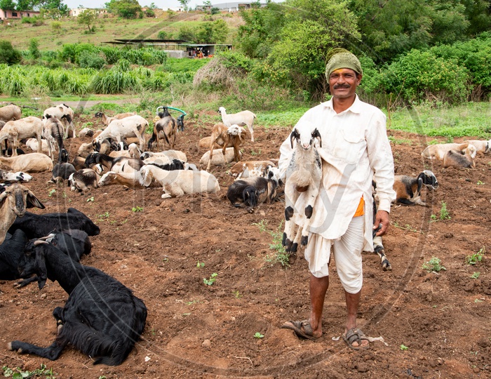 A nomadic shepherd in a village in Maharashtra