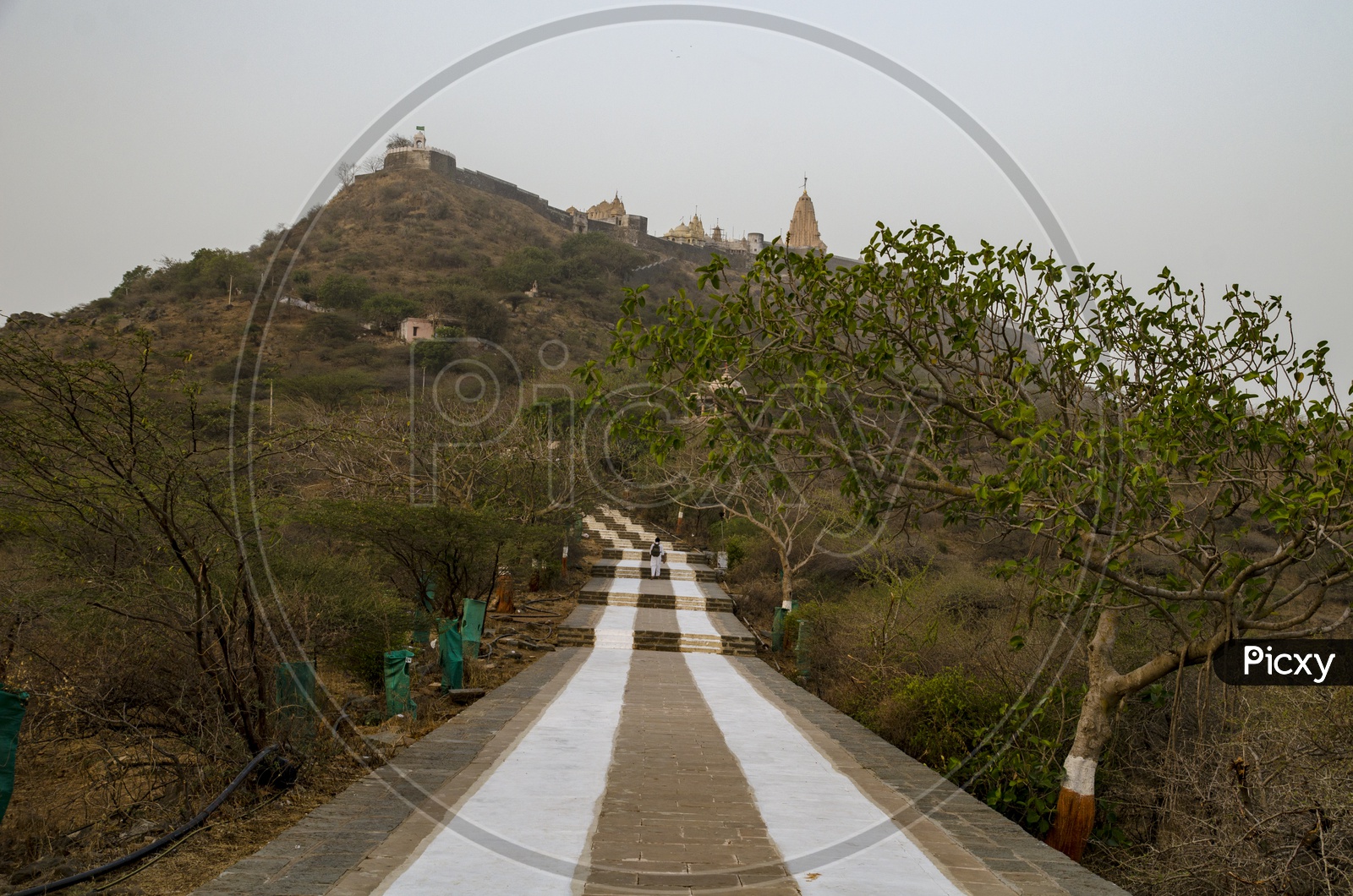 Shatrunjaya Hill, Palitana
