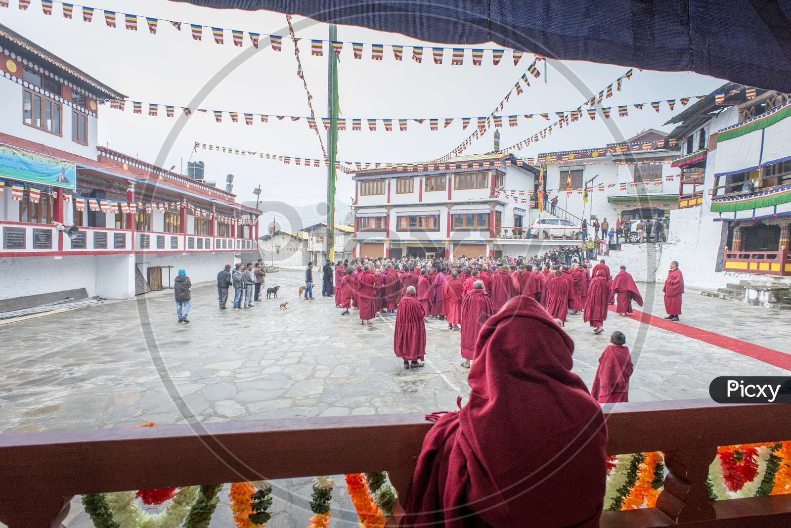 Buddhist Monks in Monastery