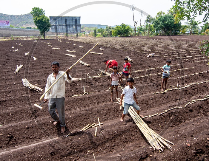 Farmer and his family at a Sugar Cane field near Pune