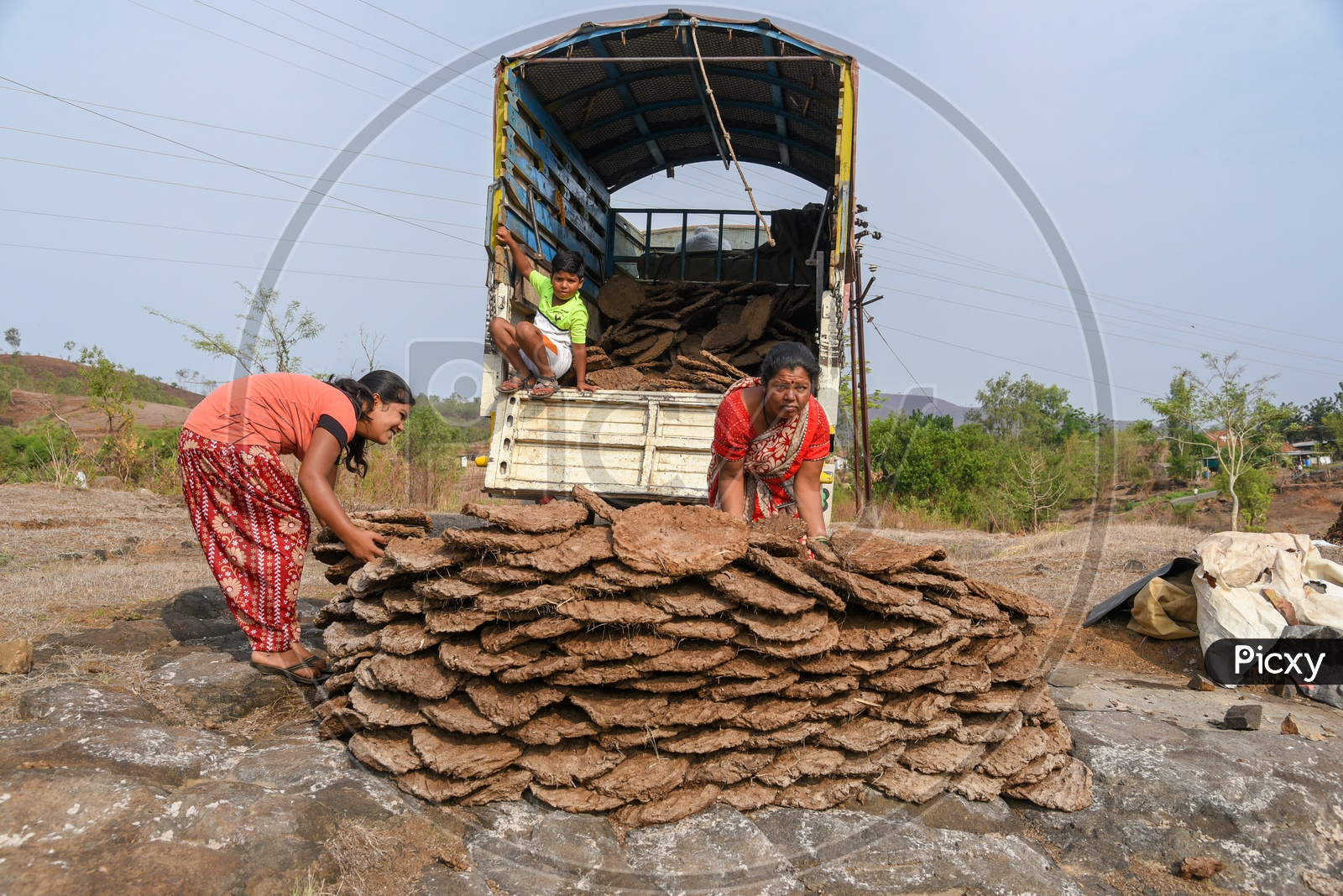 Woman loading dry Dung Cakes into truck.