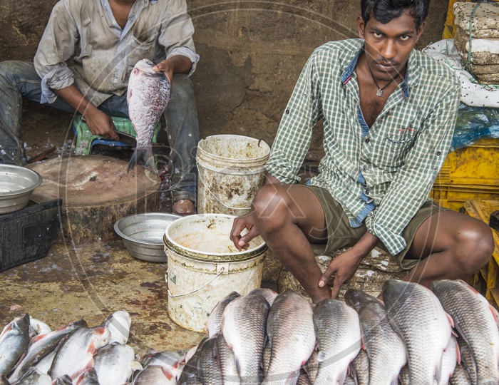 Fish Vendors