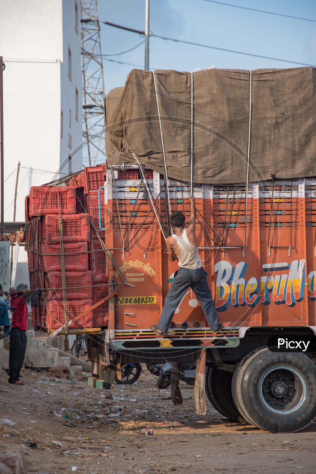 A Lorry Cleaner Tightening the tarpaulin cover on mango Load., Nunna mango Market.