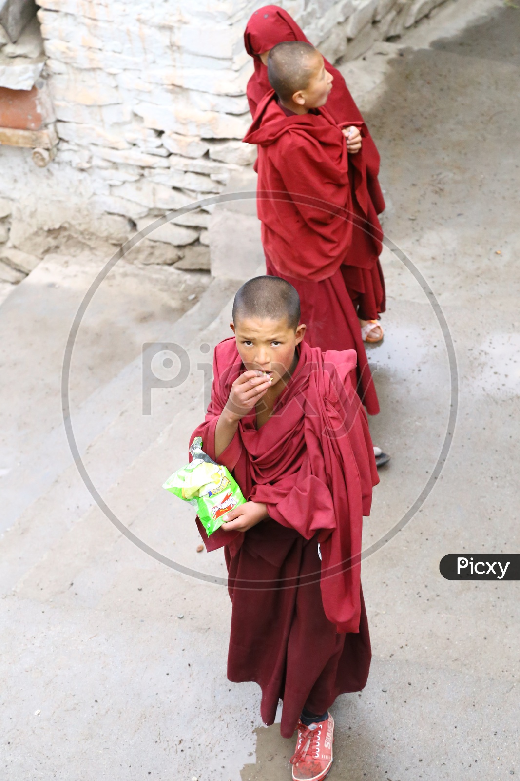 Child Buddhist Monk, Hemis Gompa Festival