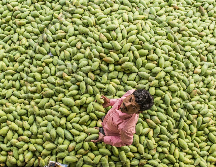 Mangoes in Kothapet Fruit Market, Hyderabad