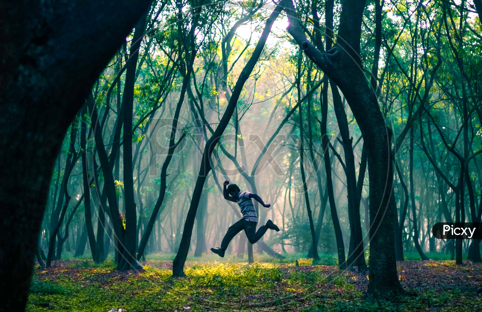 jump in a forest