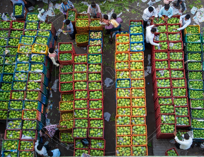 Ariel view of Mango vendors at fruit market.