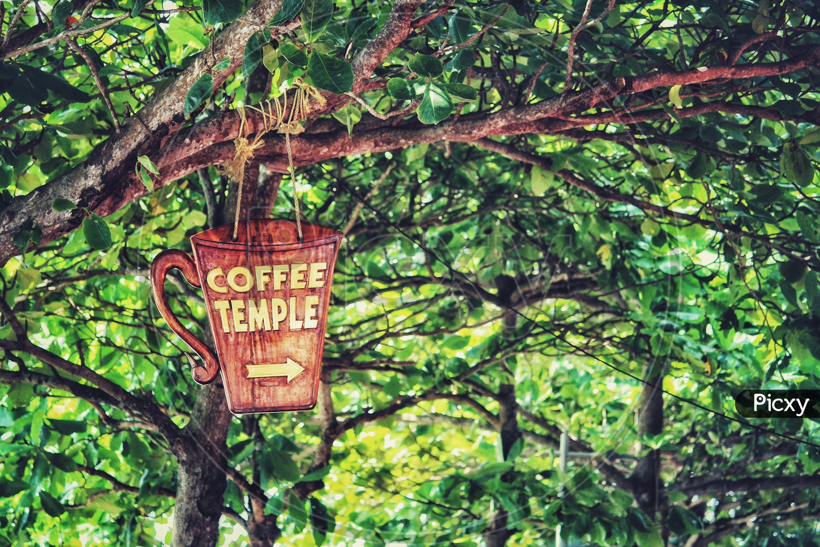 Coffee temple !!