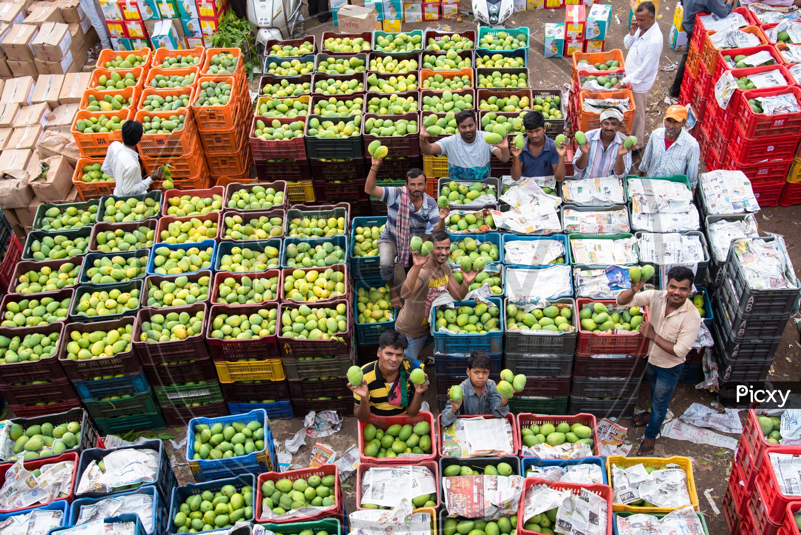 Mango sellers at Kothapet fruit market.
